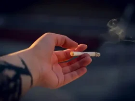 Kota Samarinda Bahaya Merokok bagi Kesehatan Paru Paru dan Sistem Imun