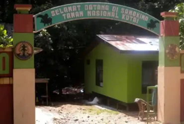 Kota Samarinda Eksplor Taman Nasional Kutai dari Samarinda Apa Saja yang Perlu Diketahui